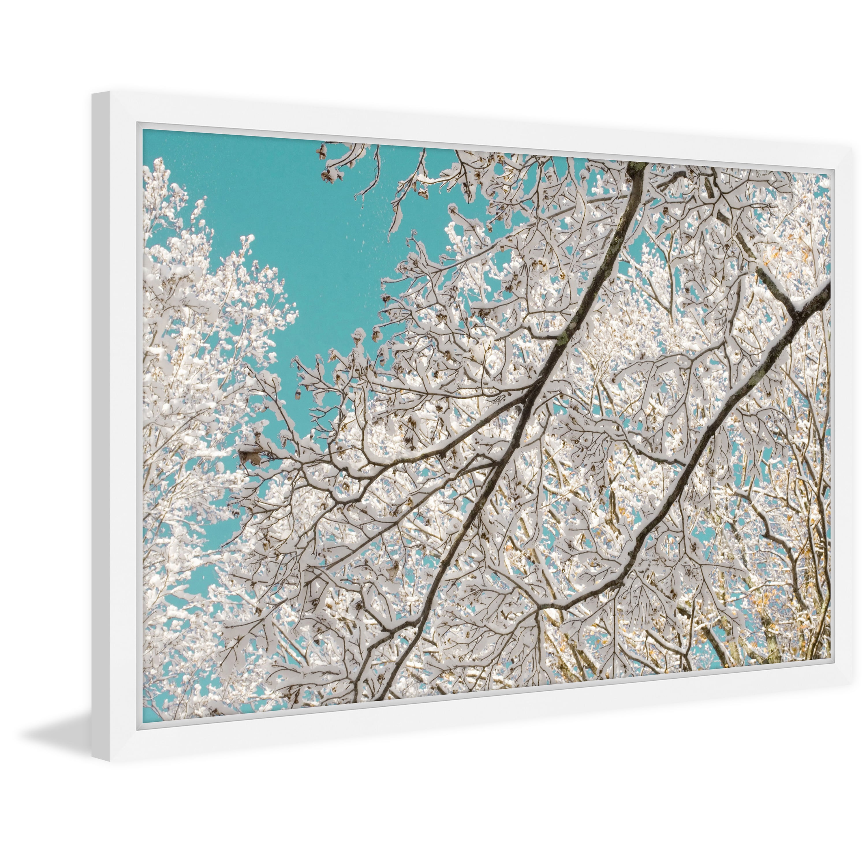 "Frosted Branches" Framed Painting Print