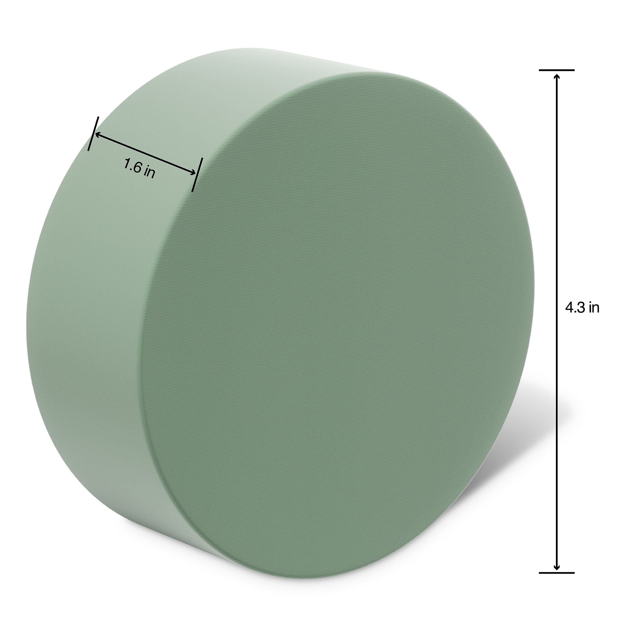 FloraCraft DryFōM Green Disc, 24 Packs: 2 ct. (48 total)