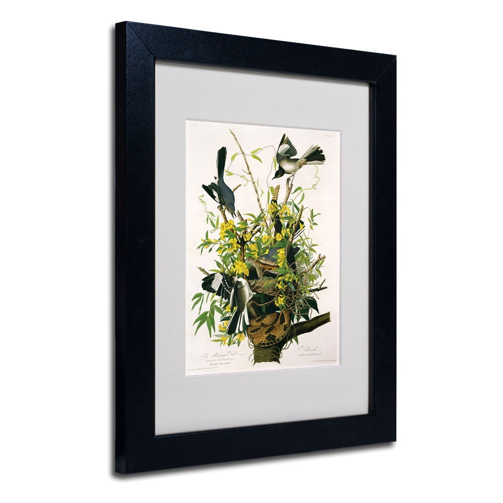 Trademark Fine Art "Mocking Birds and Snake II" Canvas Art by John James Audubon, Wood Frame