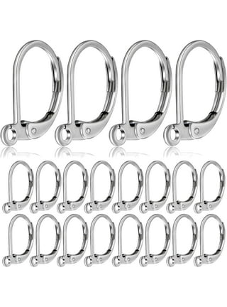 Stainless Steel Leverback Earring Hooks 100pcs French Ear Wire Lever Back  Earwire for Jewelry Making Crafting