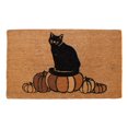 thumbnail image 1 of Recharge de Paillasson pour Chat Instachew KABOCHA - Marron - Taille unique, 1 of 1