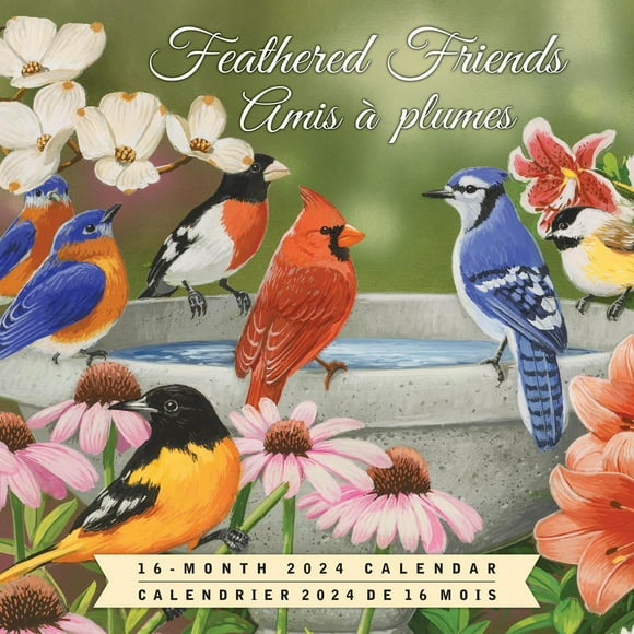 Hopper Studios Feathered Friends Amis a Plumes 2024 12x24 Inch Square Wall Calendar, 9781773728063