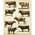 thumbnail image 2 of Vision Studio 26x32 Gold Ornate Wood Framed with Double Matting Museum Art Print Titled - Antique Cow Chart, 2 of 4