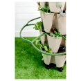 Set of 3 Plant Supports for Growing Tomatoes, Cucumbers, Peppers