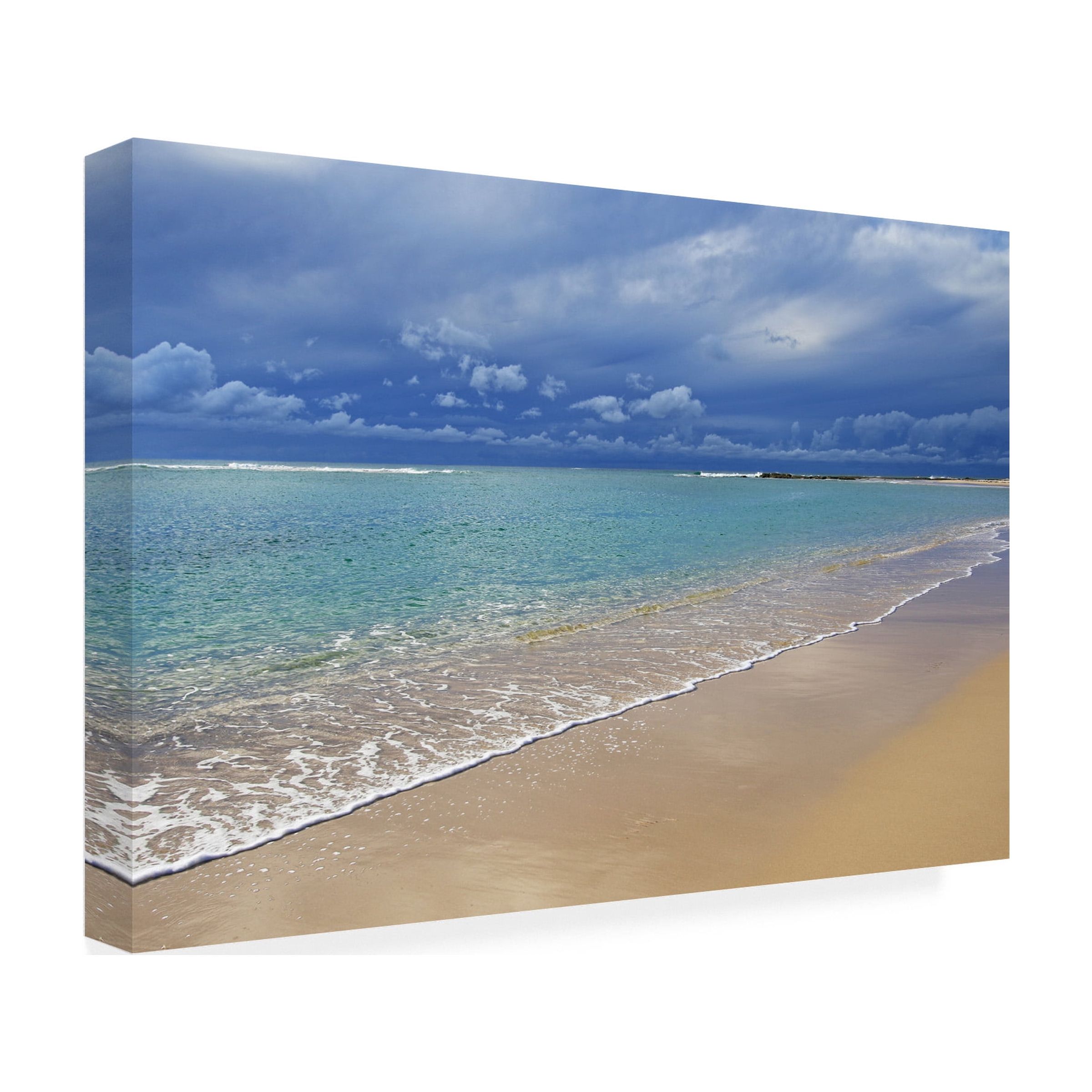 Beata Czyzowska Young 'All you need is the beach 4' Canvas Art