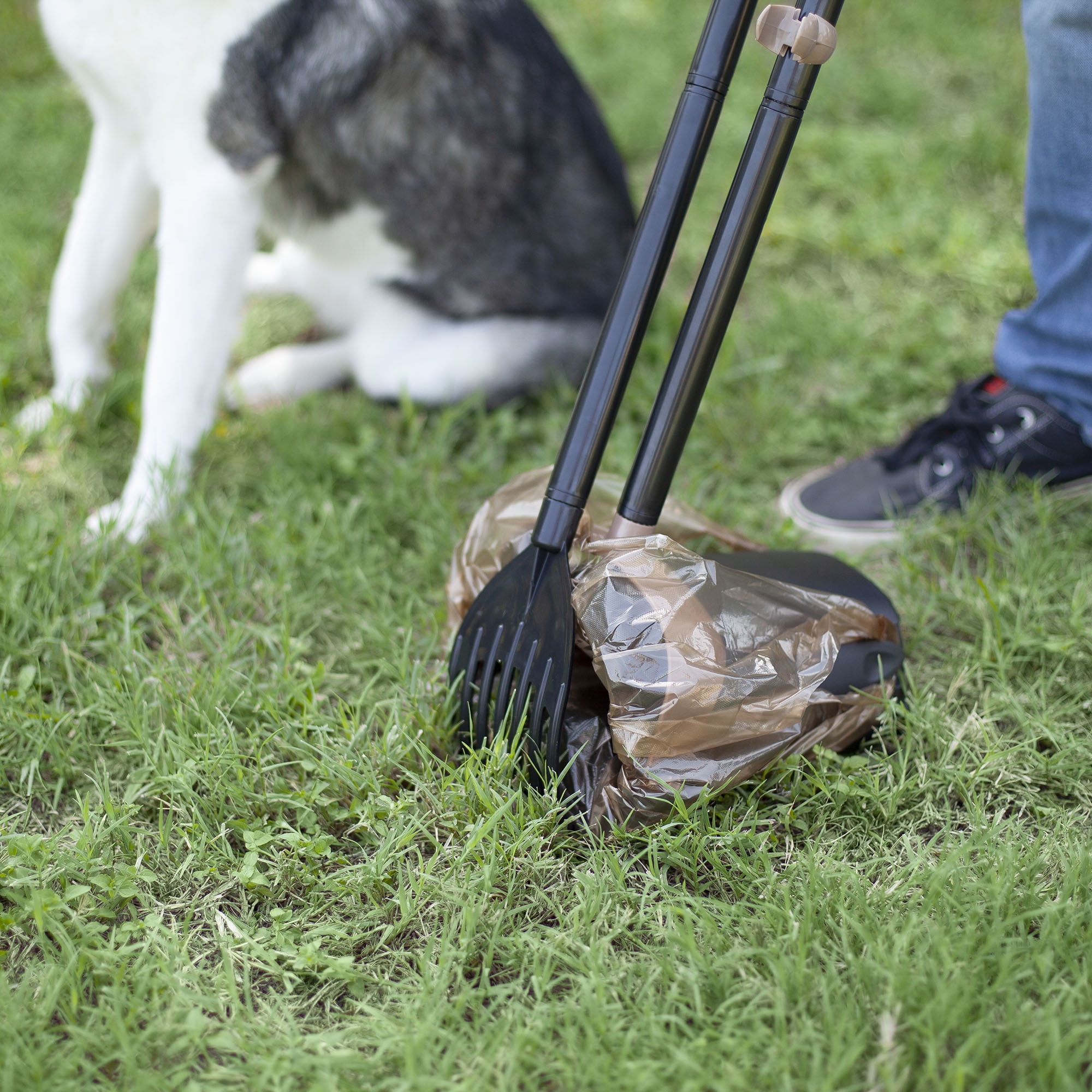 Arm Hammer Pooper Scooper Swivel Bin Rake Dog Poop