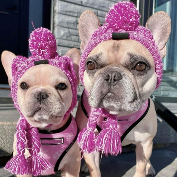 Winter Soft Knitted Dog Hat, Warm Acrylic Fabric Pet Hat With Ear Holes, Tassels & Pom-Pom, Windproof French Bulldog Hat For Small Medium Dogs Daily Walking Outdoor Gatherings