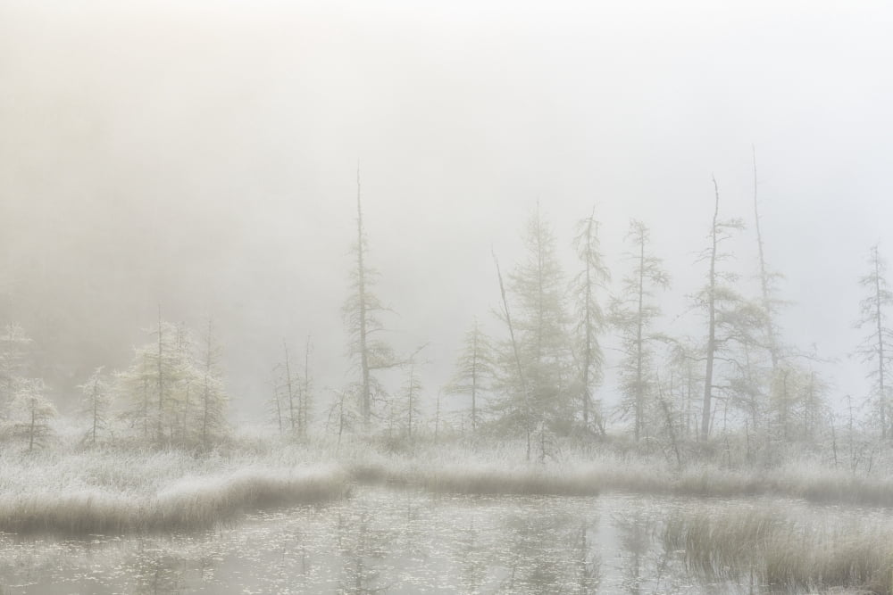 Early Morning Mist