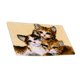 thumbnail image 3 of de de pestillo pa bricoje Fabricación de alfombras pa niños / adultos 31 pulgadas X 19.67 pulgadas, s de pa alfombras d Gato BLESIY Kits de enganche de cierre, 3 of 8