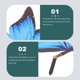 thumbnail image 1 of unbranded Patio Butterflies Stake En Acrílico Para Decorar Césped Y Exteriores, 1 of 6