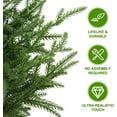 thumbnail image 5 of 2FT Artificial Norfolk Pine Christmas Tree Real Touch Faux Tree with Black Pot, Realistic Indoor Holiday Decor for Christmas Entryway, Living Room & Office, 5 of 8