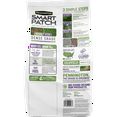 Pennington Smart Patch Dense Shade Grass Seed Mix, for Partial to Full