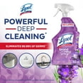 thumbnail image 3 of Lysol® Nettoyant tout usage - Brand New Day, Lavande et fleur de coton, 950 mL, 3 of 10