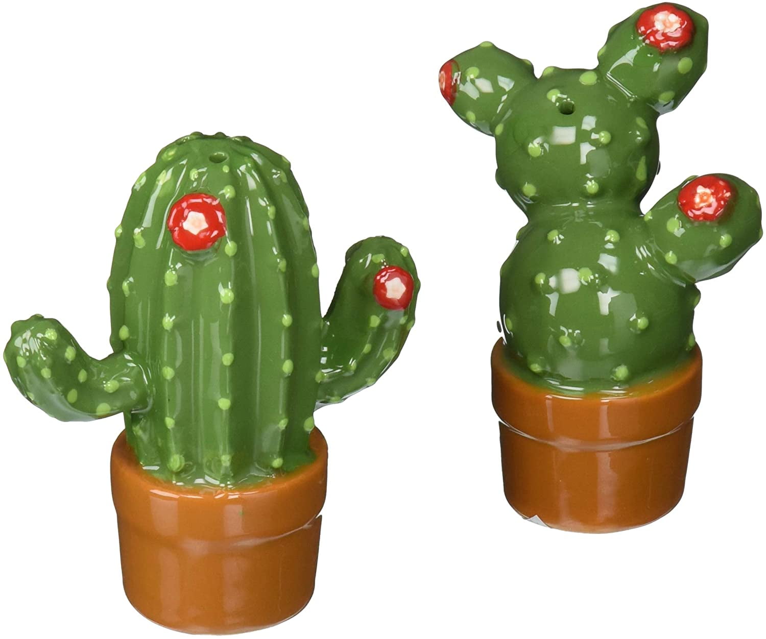 Cactus 27 shop