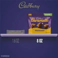 thumbnail image 5 of CADBURY CARAMELLO Miniatures Milk Chocolate Caramel Candy Share Pack, 8 oz ( Pack of 2 ), 5 of 5