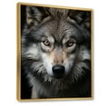 thumbnail image 2 of Designart "And White Grey Wolf I" Animals Floater Framed Wall Art Living Room, 2 of 7