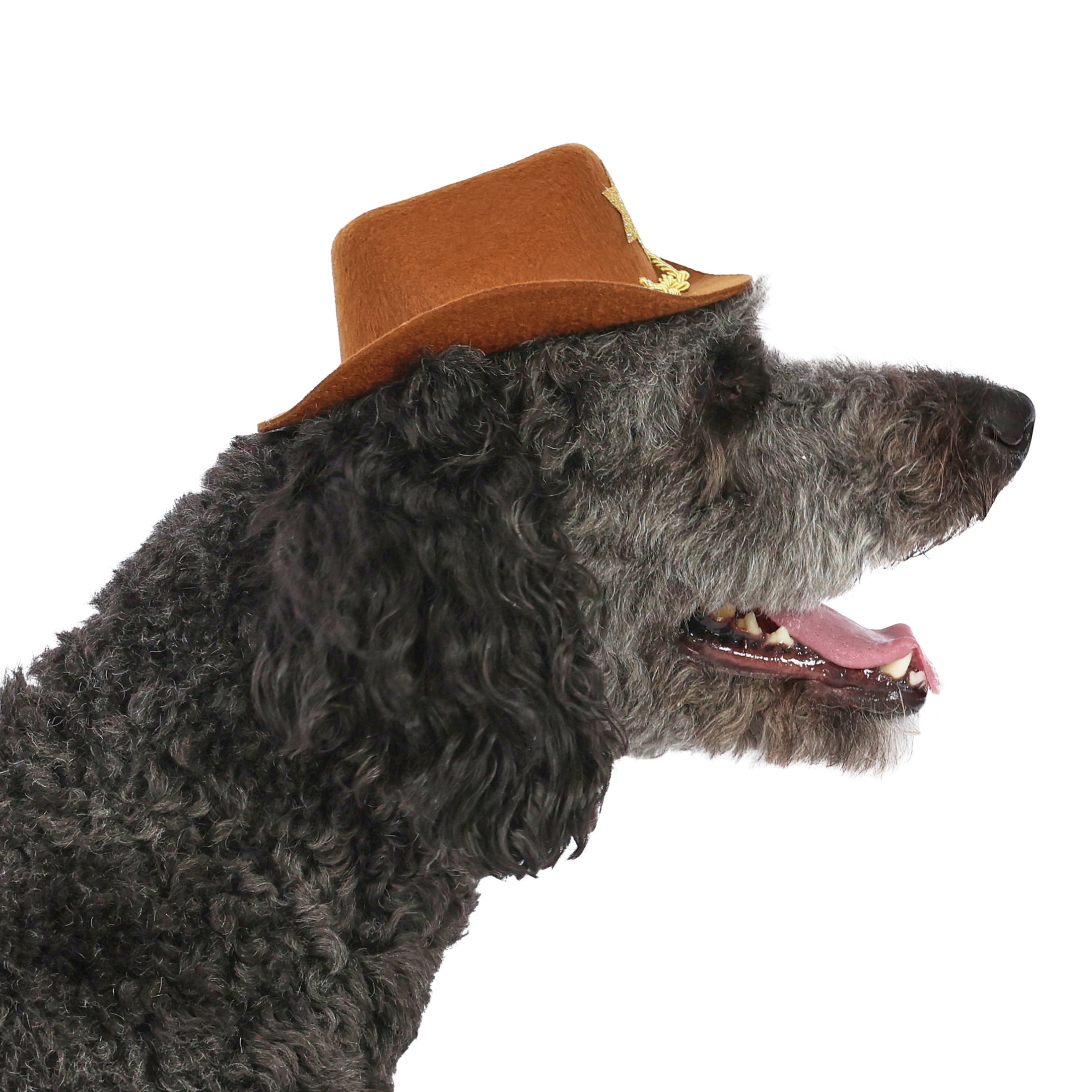 Vibrant Life Halloween Cowboy Hat Costume for Dogs, Brown, M/L