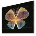 thumbnail image 1 of Design Art - Blue Yellow Fractal Butterfly in Dark, 1 of 5