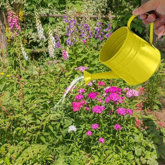 Vintage Iron Watering Can 1.5L,Metal Plant Water Kettle with Floral Design for Indoor Outdoor Garden Flower Pot Decoration