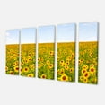 thumbnail image 2 of Beautiful Sunflowers Garden - Impression sur Toile Florale, 2 of 3