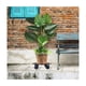 thumbnail image 5 of 2 Base Soporte Maceta Portamaceta Ruedas 27x27cm Negros, 5 of 5