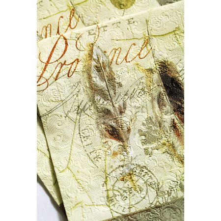 Cypress Home Provencial Embossed Paper Luncheon Napkin, 20 count