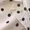 Apricot Color, variant on Women Y2k Polka Dots Midi Skirt Cute Flowy Elastic Waist A Line Ruffle Hem Skirt Going Out Streetwear Color S