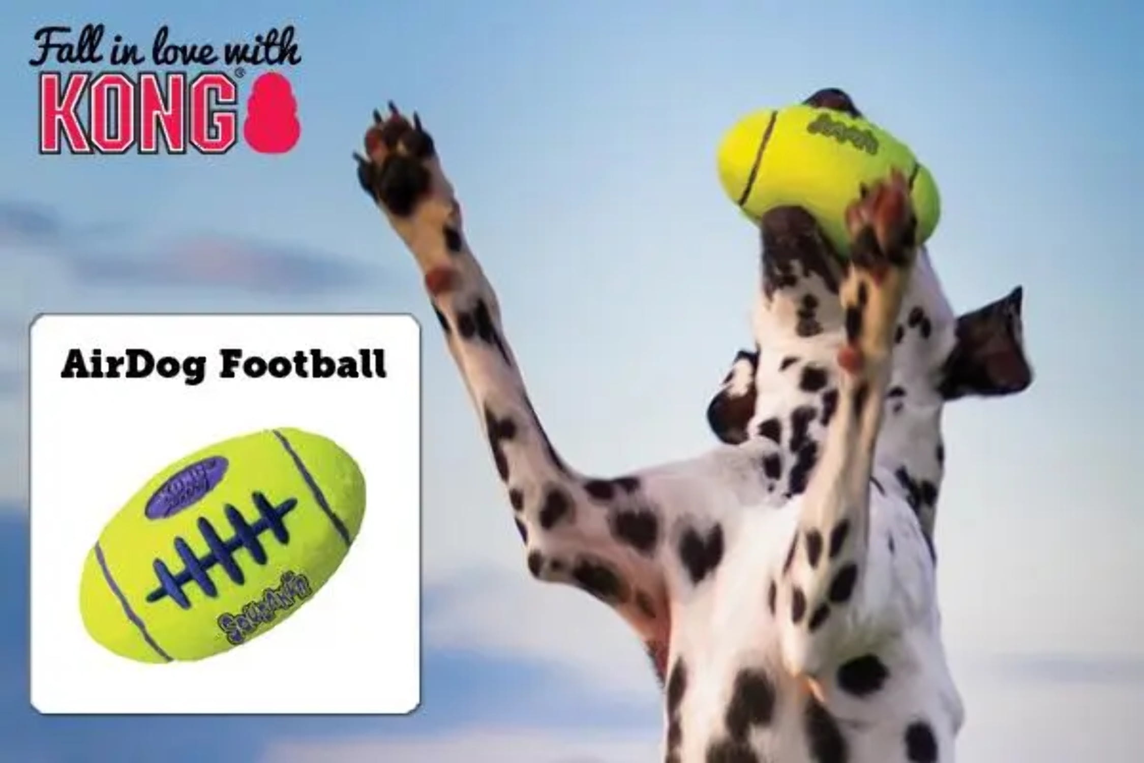 Kong airdog squeaker football hot sale