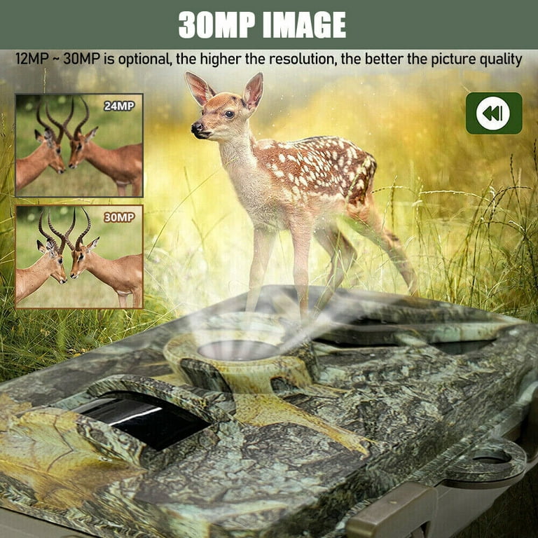Trail Cameras For Security & Outdoor Surveillance