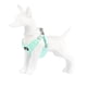 thumbnail image 3 of Correa ajustable para perros Air Flex, 3 of 5