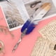 thumbnail image 2 of Pluma de inmersión Amonsee regalo vintage escritura a mano, 2 of 8