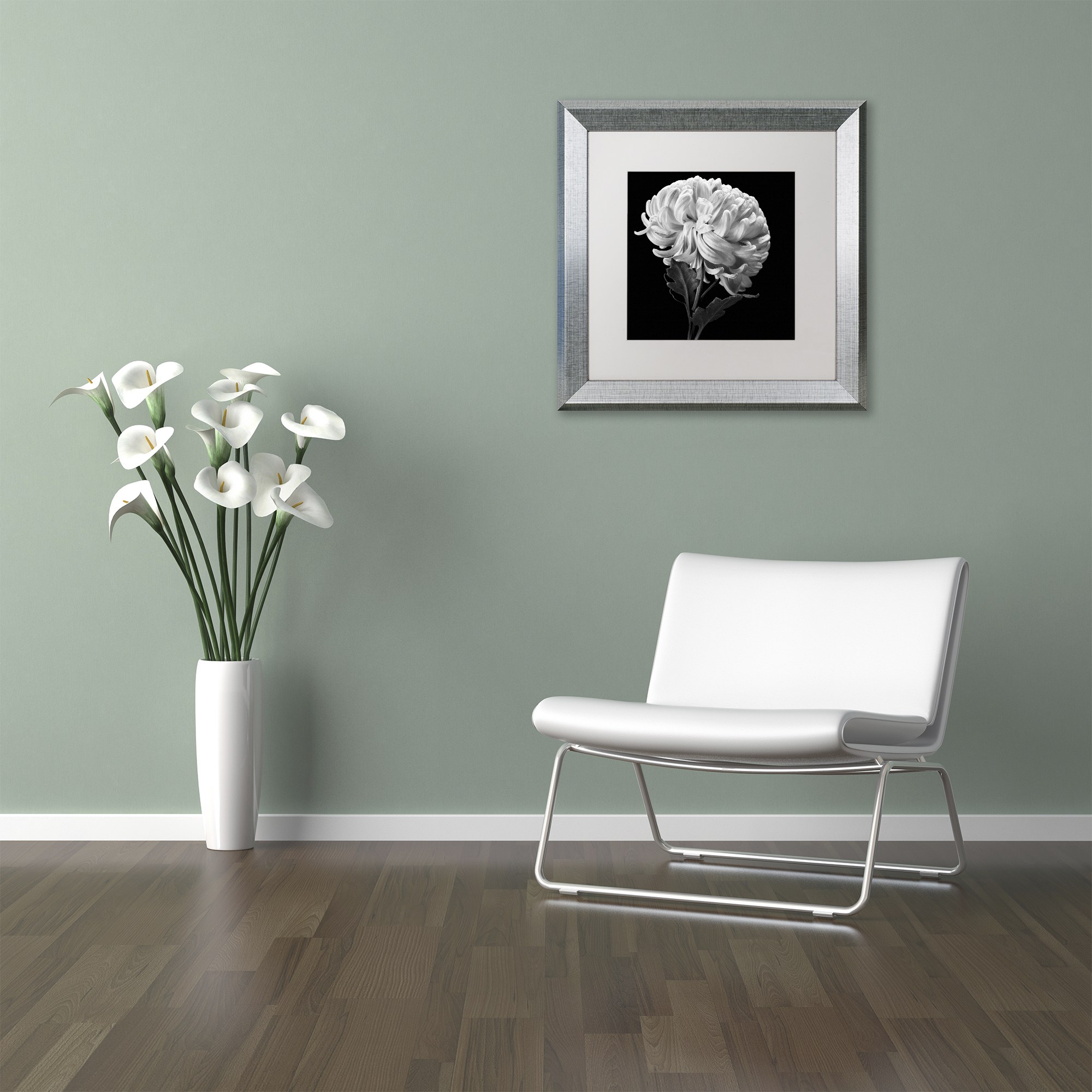 Trademark Fine Art "Mum II" Canvas Art by Michael Harrison White Matte, Silver Frame