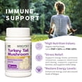 thumbnail image 3 of Sino-Sci Turkey Tail Mushroom Organic Supplement, for Immune Support, Sleep Aid & Anti-Anxiety, Brain Booster, Non-GMO Fruit Body,100 Capsules, 3 of 7
