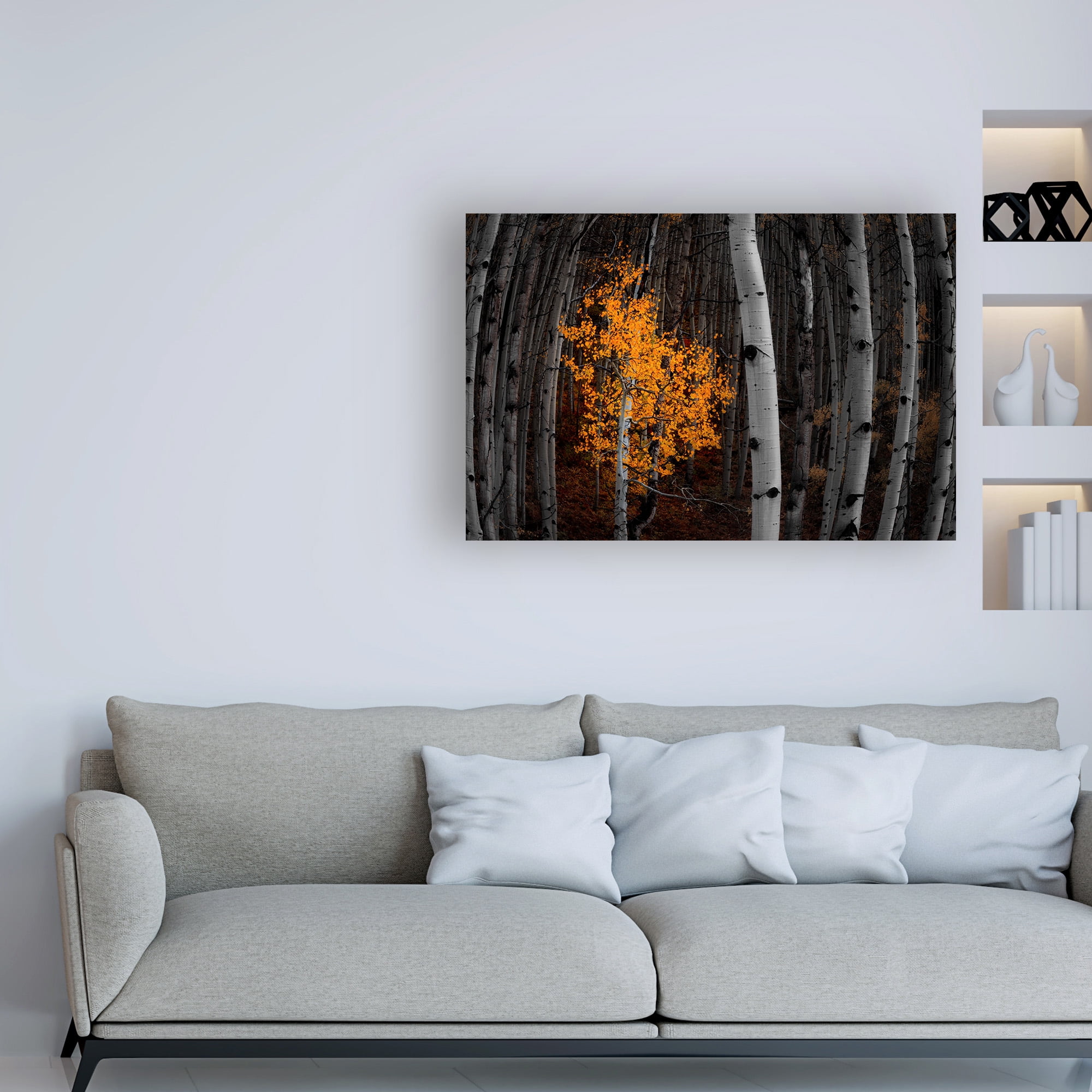 Trademark Fine Art 'Light of the Forest Flowering' Canvas Art by Darren White Photography