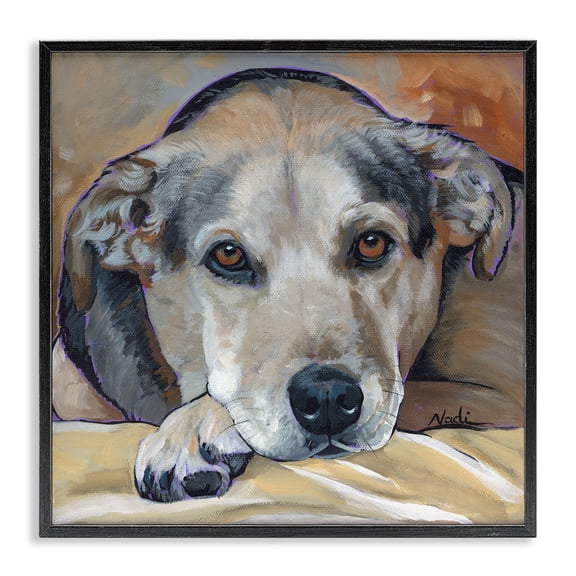 Stupell Industries Eclectic Cozy Dog Portrait Black Framed Giclee Art, 12 x 12, by Nadi Spencer