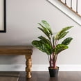 thumbnail image 4 of Vickerman 3' Artificial Green and Brown Peacock Plant, botanical name Calathea., 4 of 4