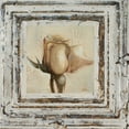 thumbnail image 2 of Pinto, Patricia 12x12 Black Ornate Wood Framed with Double Matting Museum Art Print Titled - Flowers and Leaves Square I, 2 of 4