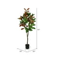 thumbnail image 2 of Vickerman 5' Artificial Green Magnolia Tree in Black Planters Pot., 2 of 2