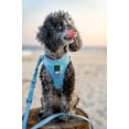 thumbnail image 4 of Dogistry - The Summer AIR Dog Harness - Ocean, 4 of 8