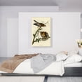 thumbnail image 2 of ARTCANVAS Red Shouldered Hawk Canvas Art Print by John James Audubon - Size: 40" x 26" (0.75" Deep), 2 of 9