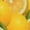 Yellow Limes, variant on 70s Hippie Style print women's scoop neck, loose-fit workout tank tops for the gym.