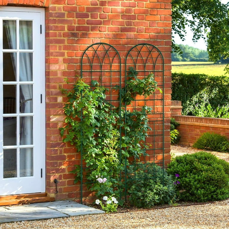 Lilypelle 4 Pack Garden Trellis for Climbing Plants 60" x 16" Iron Plant Trellis for Potted Plant Support Tall Wall Metal Trellis for Climbing