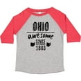 thumbnail image 3 of Inktastic Ohio Awesome Since 1803 Boys or Girls Toddler T-Shirt, 3 of 5
