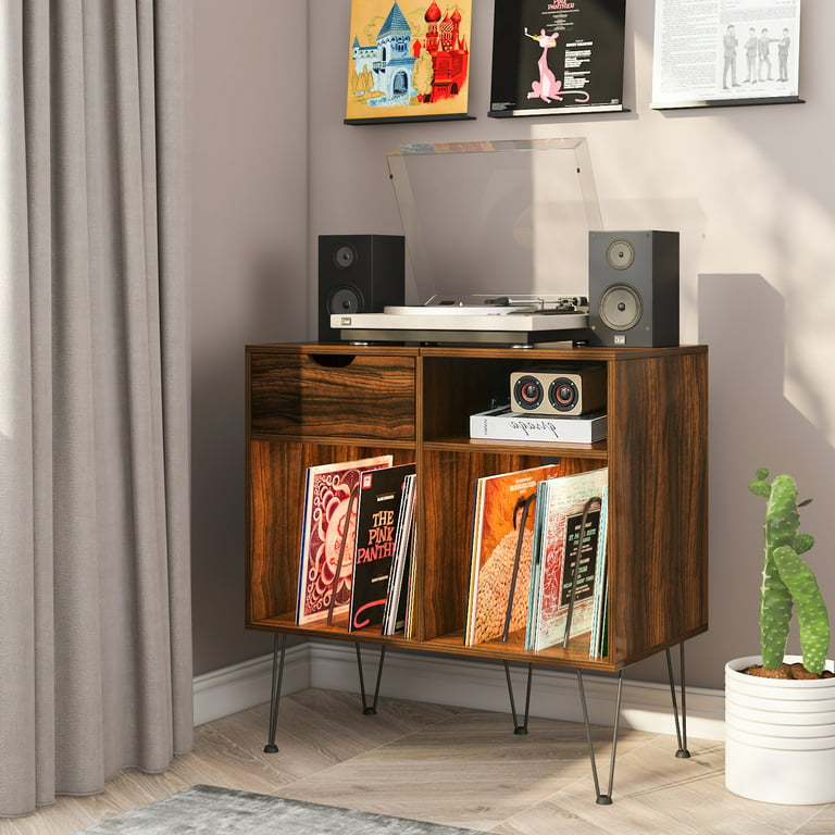 Hommpa Turntable Stand Brown Record Player Stand with Vinyl Storage and LED  Light Vinyl Record Storage Cabinet Holds Up to 100 Albums Record Player  Table for Living Room Bedroom Office 