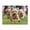 500 Pieces, variant on 500-Piece Wooden Jigsaw Puzzle for Adults - Running On Grass , Fun & Relaxing Interlocking No-Dust Puzzle for Family, Home Decor & Holiday Gifts