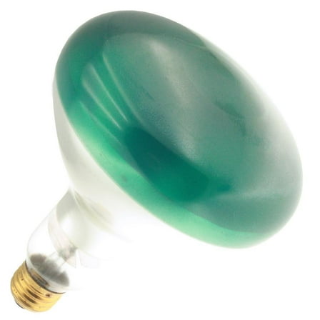 Industrial Performance 100R40/G 125V, 100 Watt, R40, Medium Screw (E26) Base, Green Flood Light Bulb (1 Bulb)