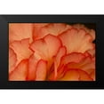 thumbnail image 2 of Crane, Rita 18x13 Black Modern Framed Museum Art Print Titled - Festive Begonia III, 2 of 5
