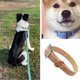 thumbnail image 4 of Collar para perros impermeable, que brinda comodidad a los perros, duradero, resistente a los olores y fácil de cuidar., 4 of 5