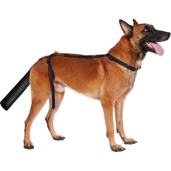 BARKLESS Dog Tail Protector, Dog Tail Guard for Medium Large Dogs, Adjustable Dog Tail Cover to Prevents Licking Wounds, Breathable Tail End Bag for Happy Tail Syndrome Recovery