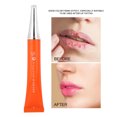 thumbnail image 4 of Gloss Tattoo Lip Skin Rejuvenating Color Fixing Waterproof Moisturizing Repairing Lip Gloss, 4 of 7